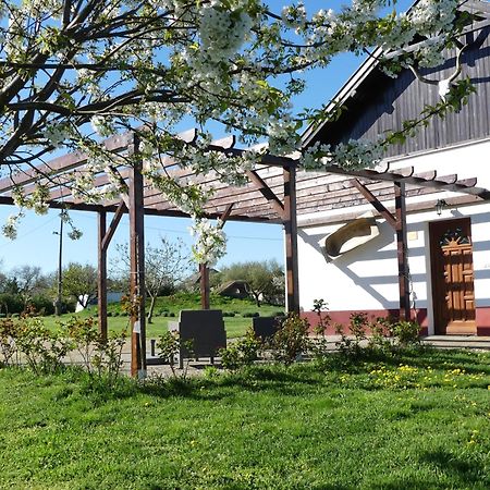 Tisza White House Bed & Breakfast Tiszaszolos Exterior photo