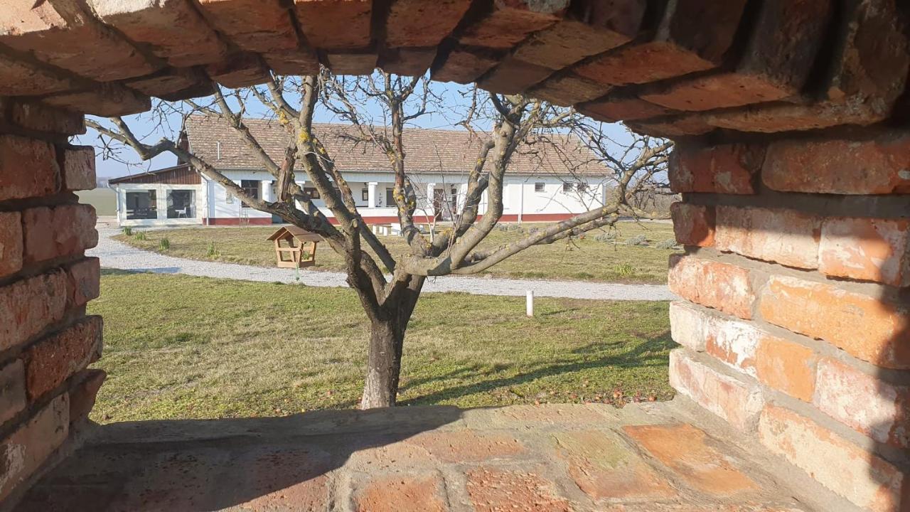 Tisza White House Bed & Breakfast Tiszaszolos Exterior photo