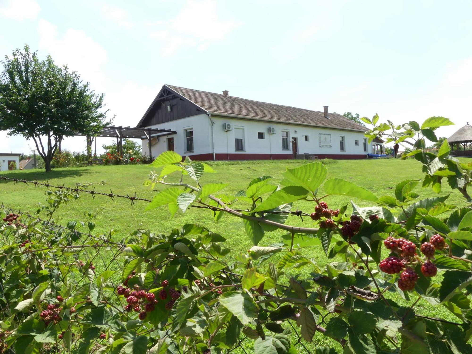 Tisza White House Bed & Breakfast Tiszaszolos Exterior photo