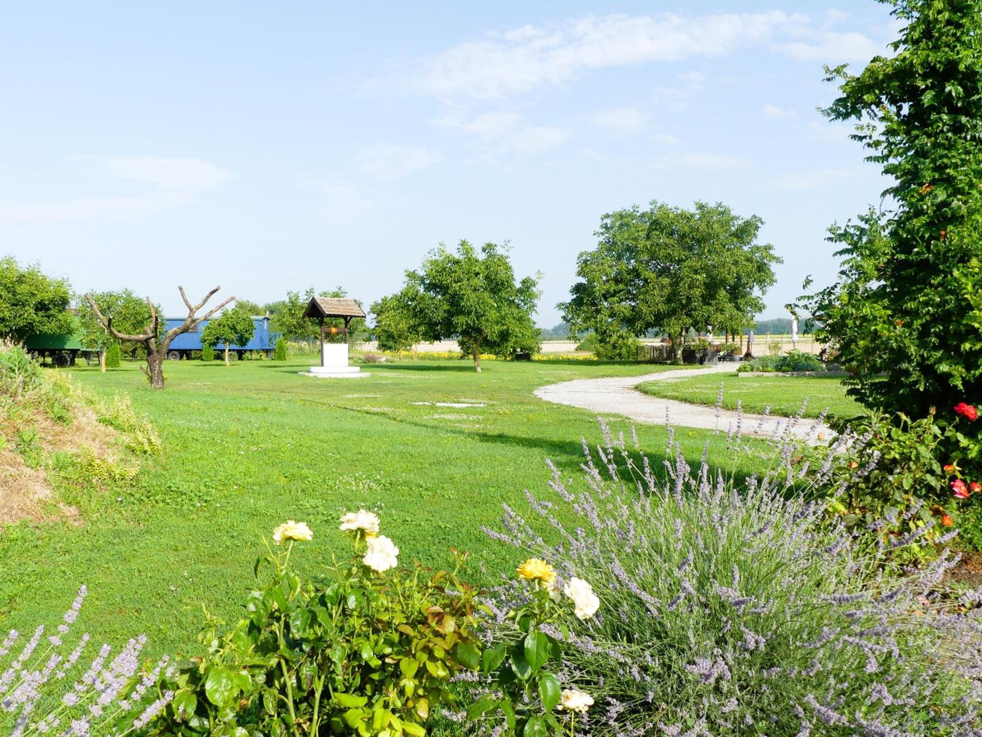 Tisza White House Bed & Breakfast Tiszaszolos Exterior photo